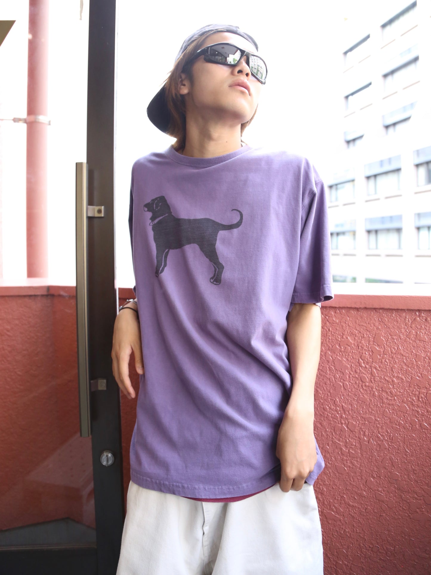 THE BLACK DOG S/S TEE